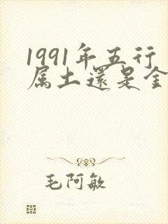 1991年五行属土还是金