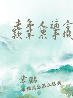 老年人适合用哪款苹果手机