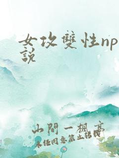女攻双性np小说
