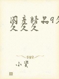 国产精品9久久久久久