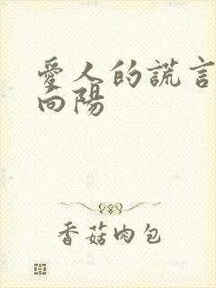 爱人的谎言夏琳向阳