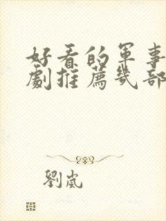 好看的军事电视剧推荐几部