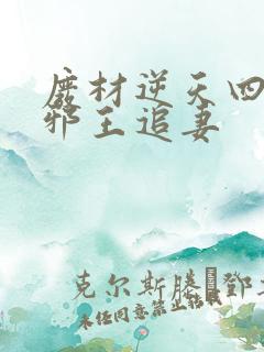 废材逆天四小姐邪王追妻