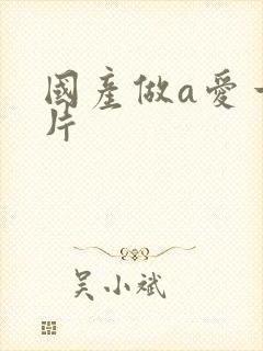 国产做a爱一级片