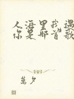 人海里我遇见了你是哪首歌的歌词