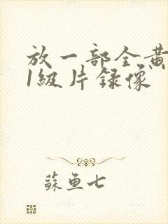 放一部全黄色的1级片录像