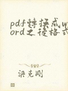 pdf转换成word之后格式怎么调整