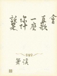 说你一直会爱我是什么歌