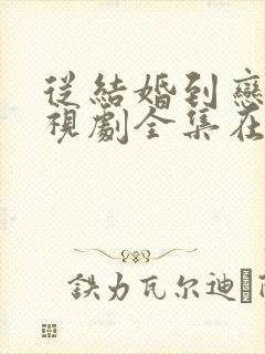 从结婚到恋爱电视剧全集在线观看