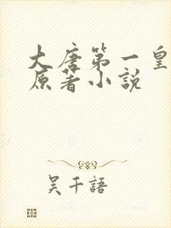 大唐第一皇太子原著小说