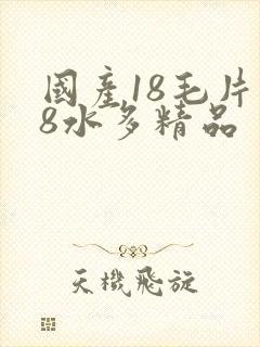 国产18毛片18水多精品