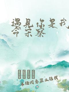 遇见你是我的宿命宋察