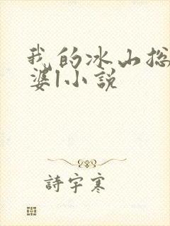 我的冰山总裁老婆l小说