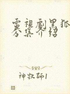 电视剧黑狐剧情分集介绍