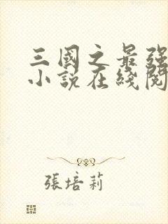 三国之最强霸主小说在线阅读