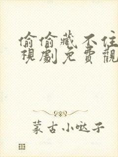 偷偷藏不住你电视剧免费观看