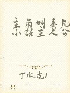 主角叫秦凡是的小说主人公