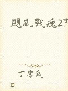 飓风战魂2陀螺