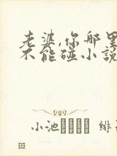 老婆,你哪里我不能碰小说