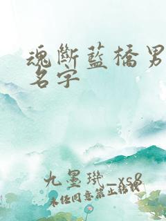 魂断蓝桥男主角名字