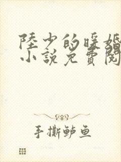 陆少的暖婚新妻小说免费阅读