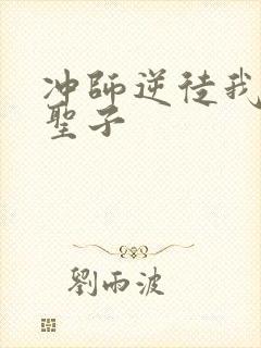 冲师逆徒我不是圣子