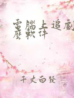 电脑上追剧用什么软件