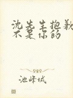 沈先生抱歉孩子不是你的