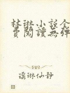 林琳小说全文免费阅读无弹窗