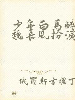 少年白马醉春风魏长风扮演者