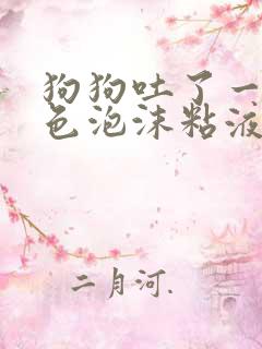 狗狗吐了一滩白色泡沫粘液还拉稀