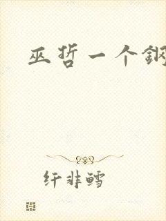 巫哲一个钢镚儿