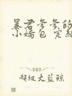 暴君爹爹的团宠小娇包 完结版