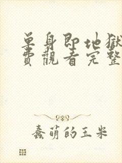 单身即地狱4免费观看完整版