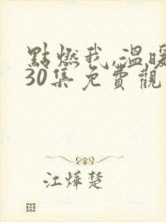 点燃我,温暖你30集免费观看