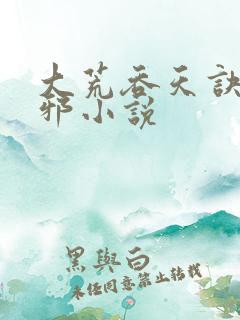 大荒吞天诀柳无邪小说