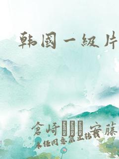 韩国一级片片