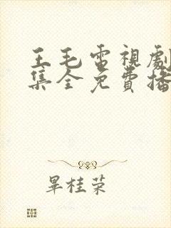 王毛电视剧48集全免费播放