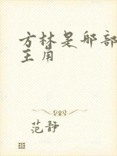 方林是哪部小说主角