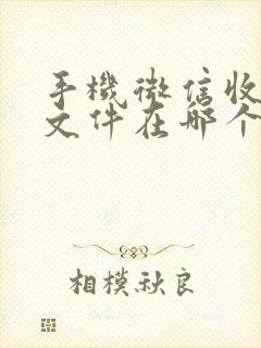 手机微信收到的文件在哪个目录