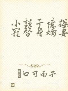 小说千亿总裁独宠替身娇妻完整版未删减小说