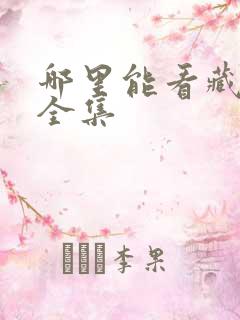 哪里能看藏海传全集