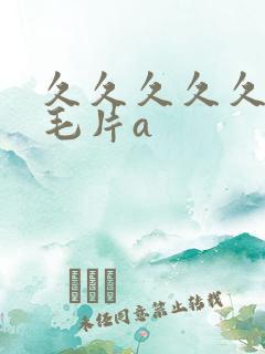 久久久久久精品毛片a