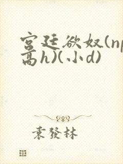 宫廷欲奴(np高h)(小d)