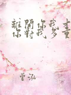 离开你我才知道你对我多重要什么歌