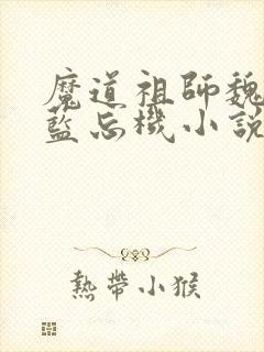 魔道祖师魏无羡蓝忘机小说全文阅