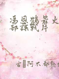 冯恩鹤最火的三部谍战片