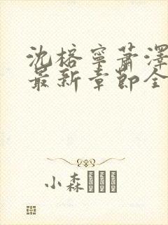 沈榕宁萧泽小说最新章节全文阅读