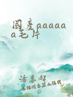 国产aaaaaa毛片