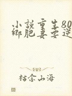 小说重生80下乡肥妻要逆袭